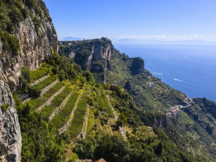 Campania: Saline Air and Volcanic Earth.