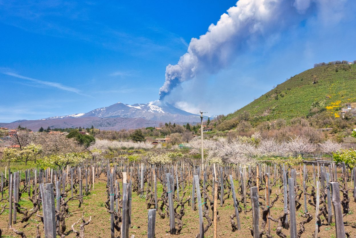 Passione of the Week – Volcanic Terroir