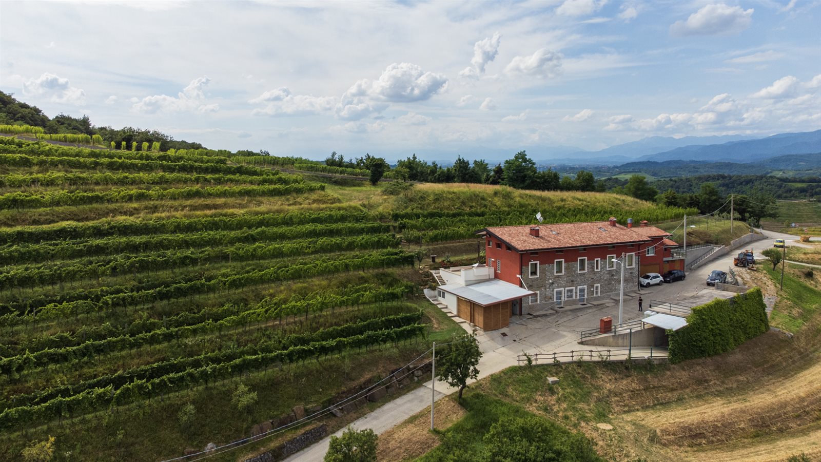 A Star Among the Hills of Collio: Tenuta Stella